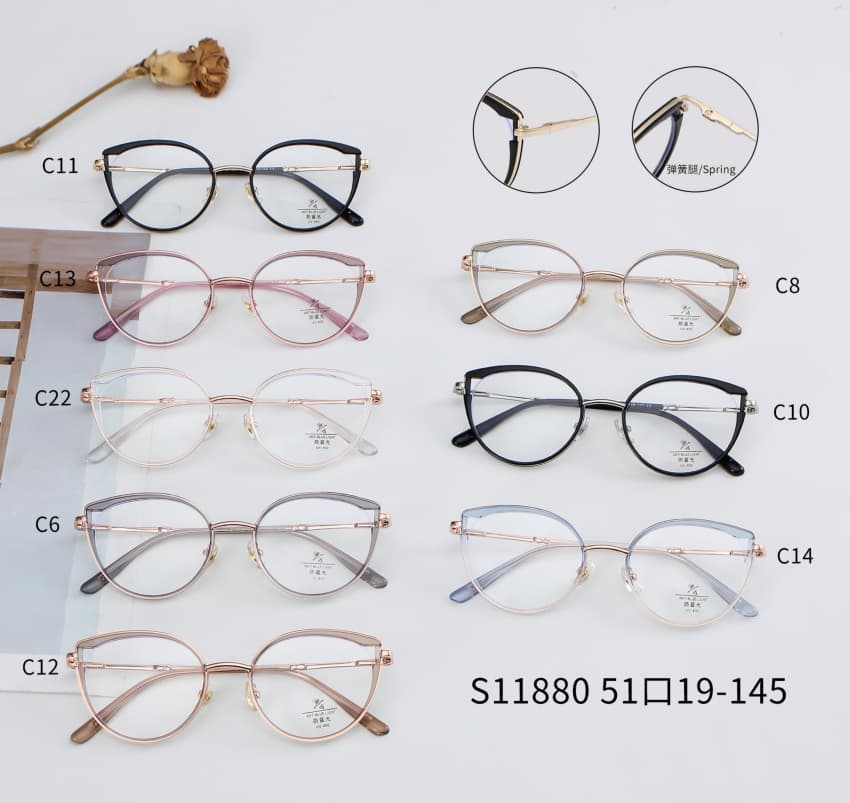 A Cat Eye Shape TR Anti blue light Glasses